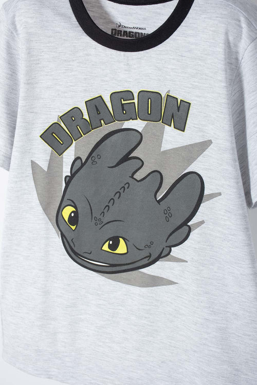 PIJAMA CÓMO ENTRENAR A TU DRAGÓN GRIS Y NEGRA DE PANTALÓN LARGO PARA NIÑO