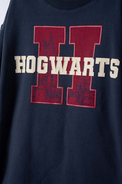 POLERA DE HARRY POTTER MANGA LARGA AZUL PARA NIÑO