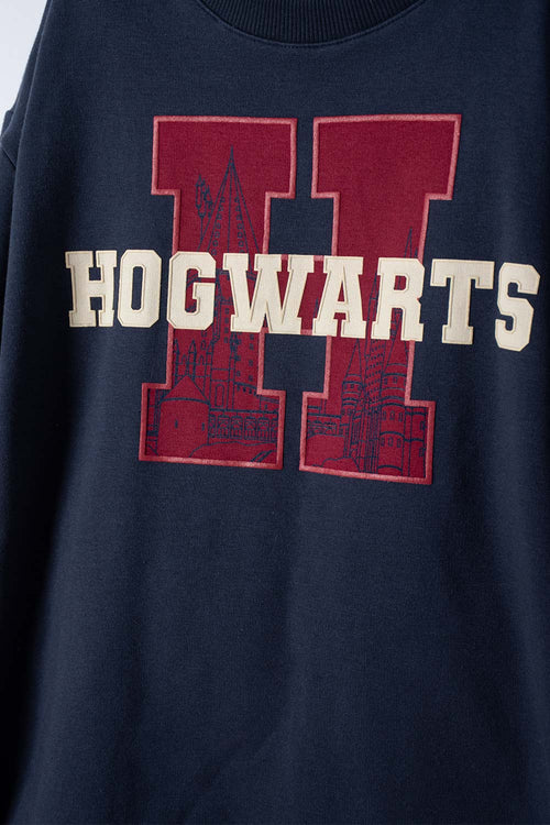 POLERA DE HARRY POTTER MANGA LARGA AZUL PARA NIÑO