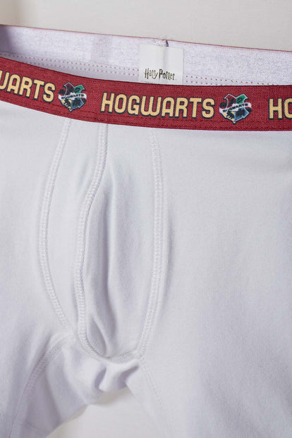 PACK X2 BOXER DE HARRY POTTER MULTICOLOR PARA NIÑO