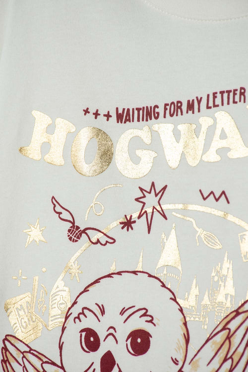 POLERA DE HARRY POTTER MANGA LARGA MARFIL PARA NIÑA